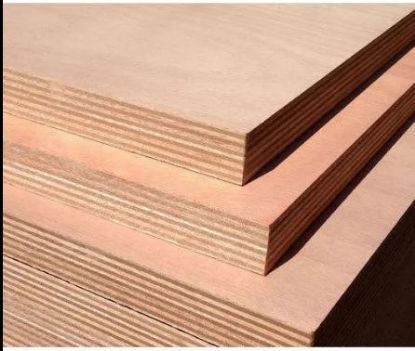 బ్లాక్‌బెర్రీ MR 8X4 ప్లైవుడ్ యొక్క చిత్రం